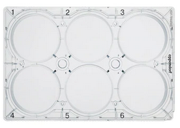 德國(guó)艾本德(Eppendorf)Cell Culture Plates,6-Well,無(wú)菌無(wú)熱原,無(wú)RNase和DNase,無(wú)人類(lèi)和細(xì)菌DNA,無(wú)細(xì)胞毒素,未處理,5mL,60塊,獨(dú)立包裝